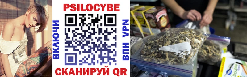 МЕГА   Сосновый Бор  Псилоцибиновые грибы мицелий 