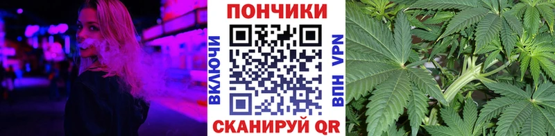 Бошки марихуана индика Сосновый Бор
